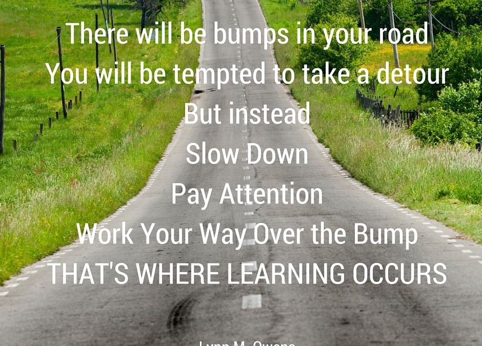 BUMPS IN THE ROAD